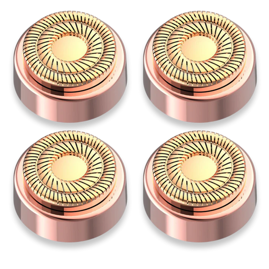 Lot de 4 têtes de rechange
