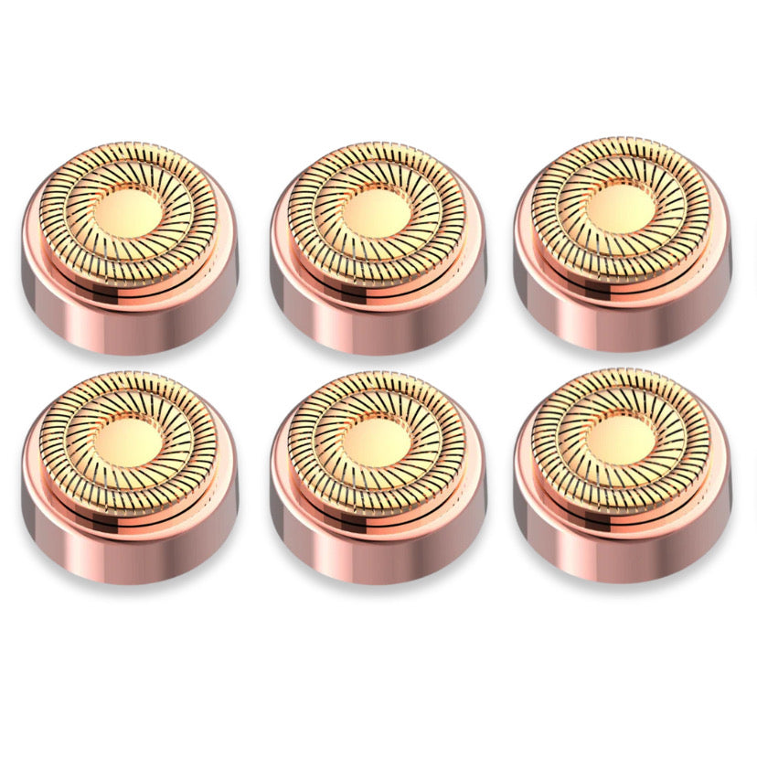 Lot de 6 têtes de rechange