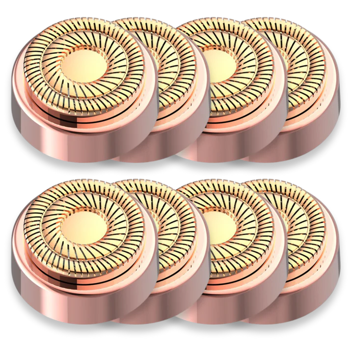 Lot de 6 têtes de rechange
